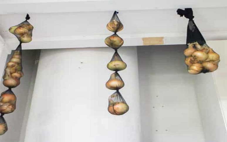 10-amazing-food-storage-hacks-7.jpg