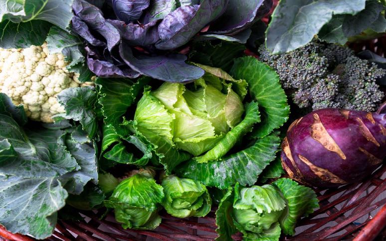 10-bad-foods-for-your-digestive-health-1.jpg