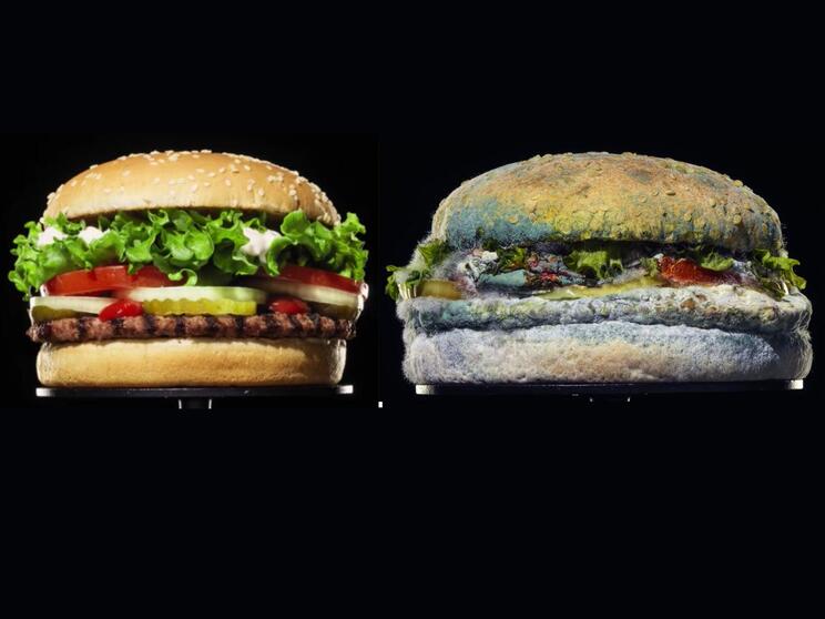 10-disgusting-facts-about-burger-king-9.jpg