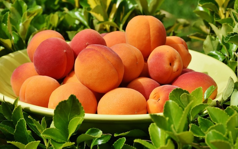 10-foods-that-help-prevent-breast-cancer-6.jpeg