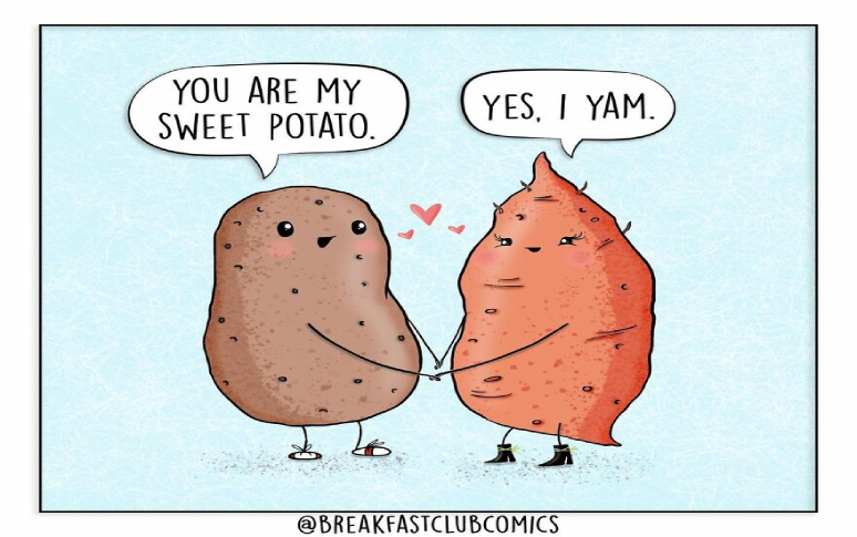 12-funny-comics-about-foods-from-brooke-karras-12.jpg