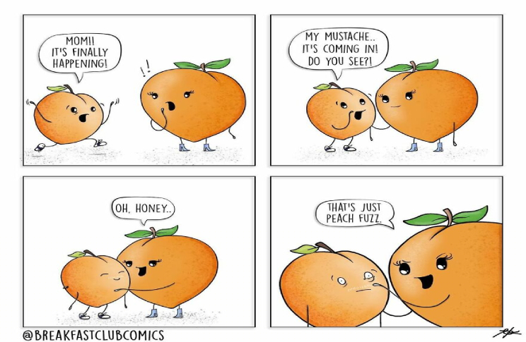 12-funny-comics-about-foods-from-brooke-karras-5.jpg