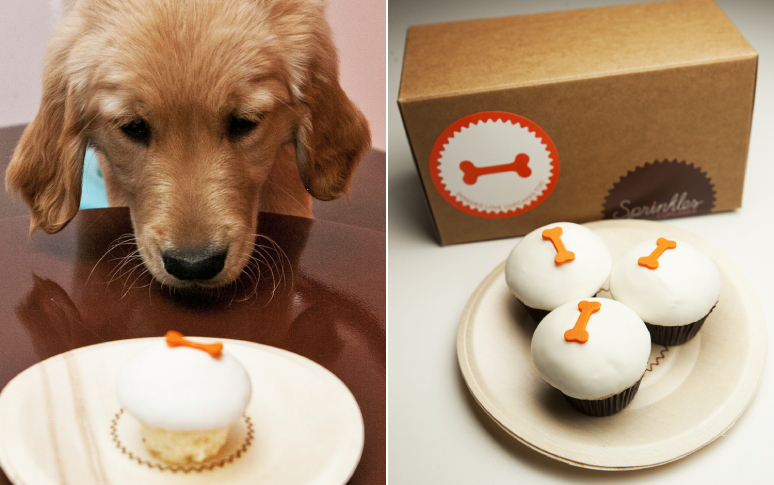 14-best-dog-friendly-restaurants-in-usa-12.jpg