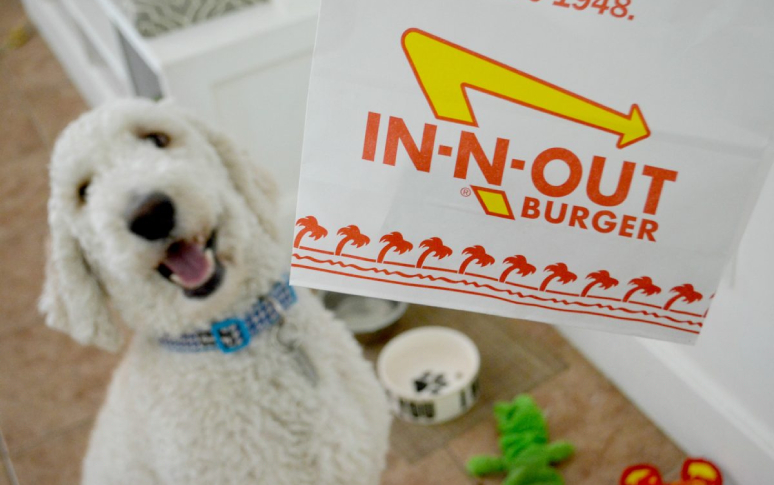 14-best-dog-friendly-restaurants-in-usa-7.jpg