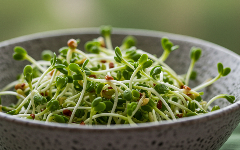 15-foods-never-eat-past-expiration-date-12.jpg