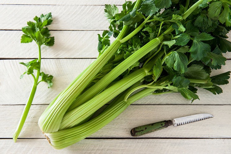 18-best-fat-burning-but-yummy-food-that-are-neglected-7.jpg