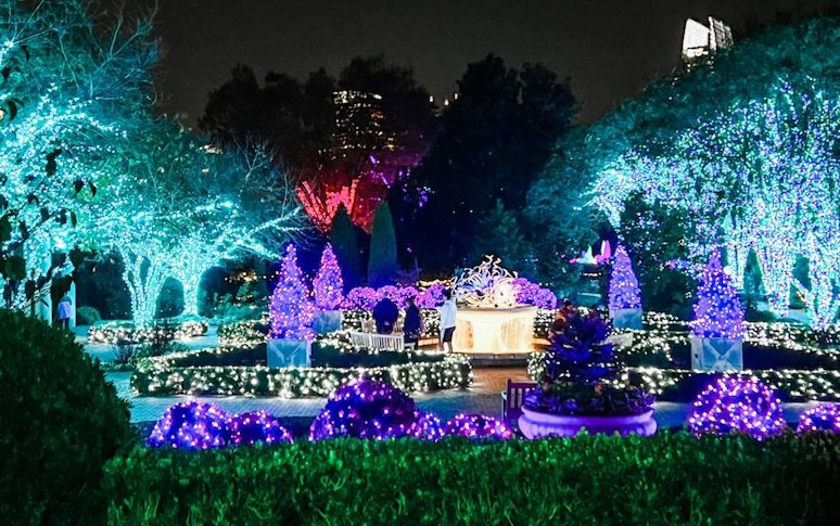20-christmas-light-displays-you-cant-miss-across-the-us-1.jpg