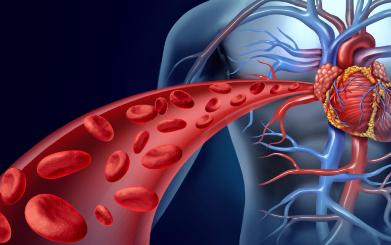 5-best-foods-to-increase-blood-flow-naturally-1.jpg