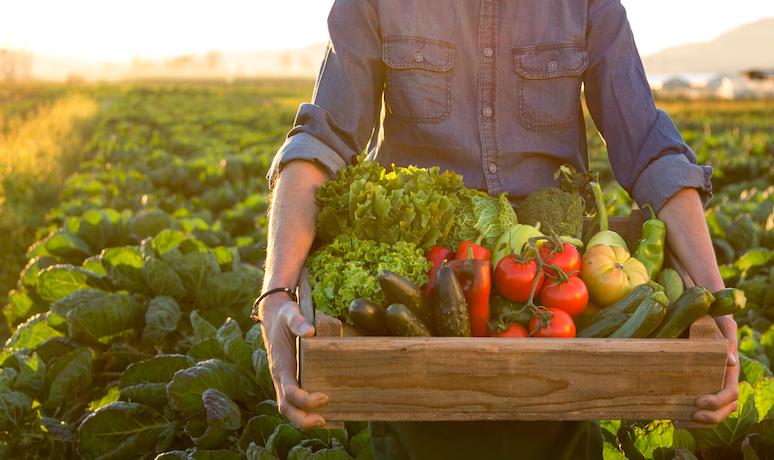5-common-food-myths-debunked-never-be-fooled-again-4.jpg