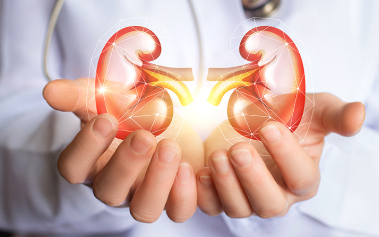 5-foods-that-could-cause-kidney-damage-1.jpg