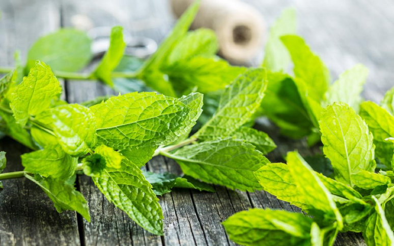 5-foods-that-help-prevent-heat-stroke-6.jpg