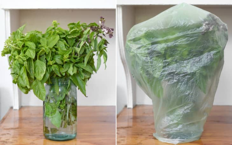 5-foods-that-you-should-not-put-in-the-refrigerator-6.jpg