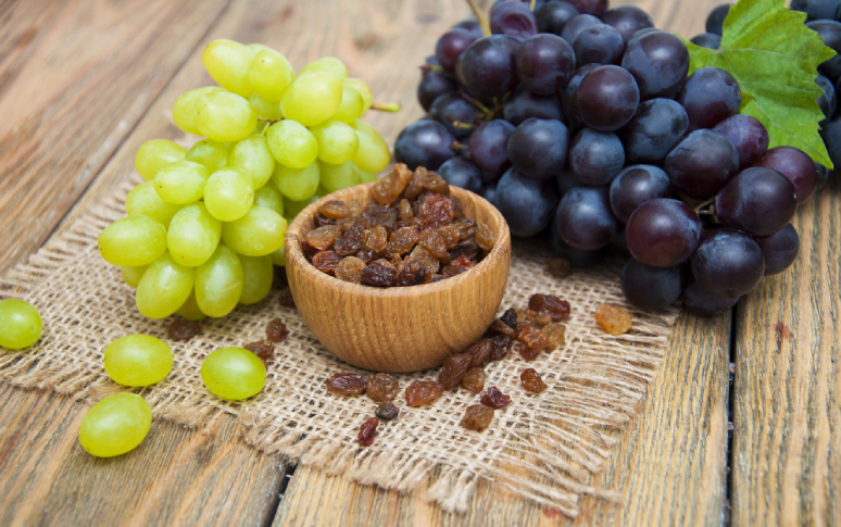 5-human-foods-that-can-be-fatal-to-dogs-2.jpg