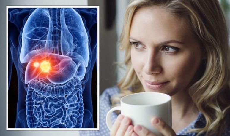 6-foods-to-help-fatty-liver-reversal-9.jpg