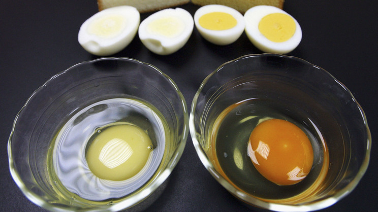 8-most-common-food-allergies-2.jpg