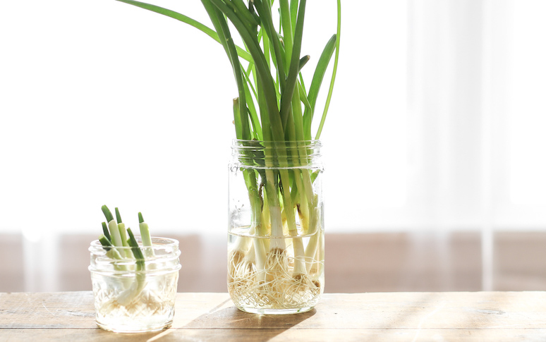 9-food-storage-tips-to-make-your-groceries-last-longer-4.jpg