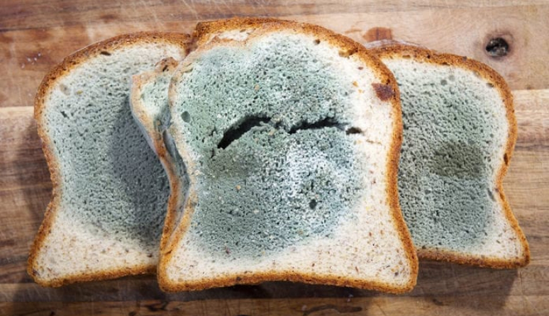 9-grossest-things-the-fda-allows-in-our-food-4.jpg