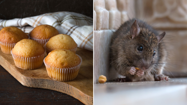 9-grossest-things-the-fda-allows-in-our-food-8.jpg