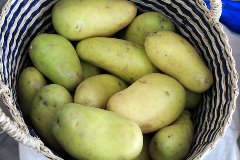 are-green-potatoes-safe-to-eat-2.jpg