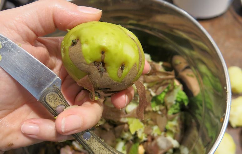 are-green-potatoes-safe-to-eat-5.jpg