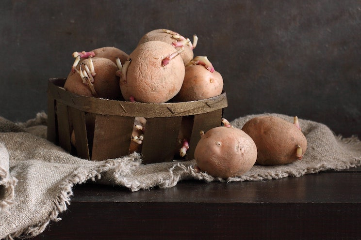 can-you-eat-sprouted-potatoes-1.jpg