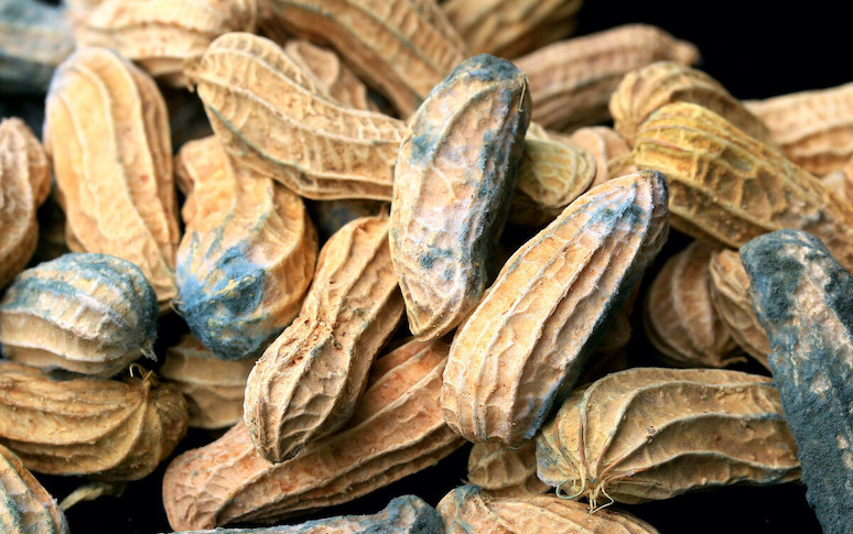 dangerous-side-effects-of-eating-peanut-butter-3.jpg