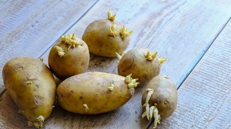 dont-eat-them-10-tell-tale-signs-that-your-food-has-gone-bad-3.jpg
