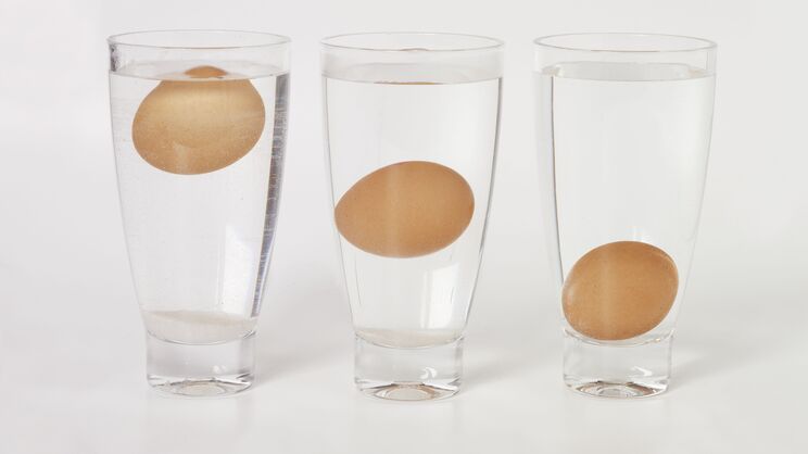 dont-eat-them-10-tell-tale-signs-that-your-food-has-gone-bad-4.jpg