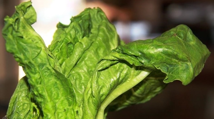 dont-eat-them-10-tell-tale-signs-that-your-food-has-gone-bad-6.jpg