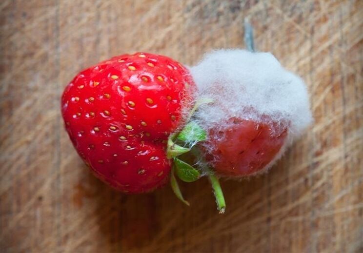 dont-eat-them-10-tell-tale-signs-that-your-food-has-gone-bad-7.jpg