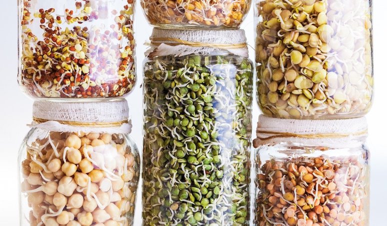dont-eat-these-lectin-rich-foods-raw-2.jpg