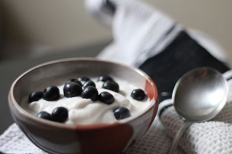 effectively-healthy-10-staple-ingredients-to-add-in-high-protein-smoothies-2.jpg