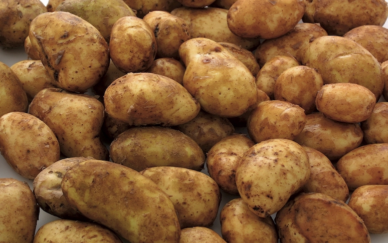 keeping-10-foods-away-from-each-other-6.jpg