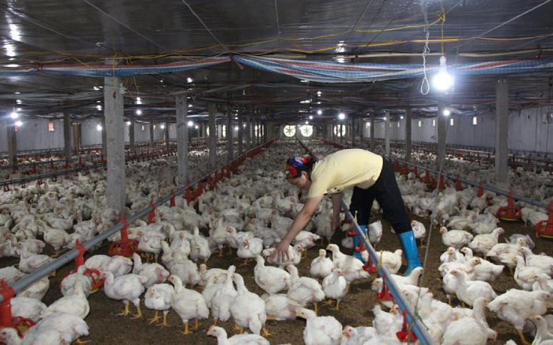 kfc-is-facing-a-new-shortage-that-might-affect-your-next-order-6.jpg