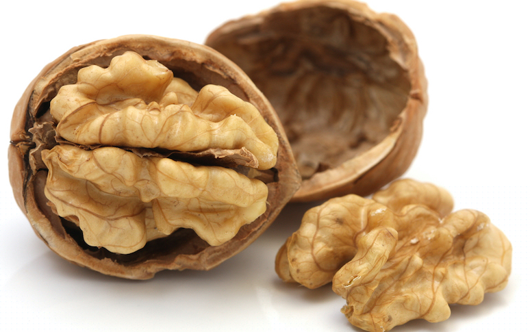 popular-foods-that-support-your-mental-health-4.jpg