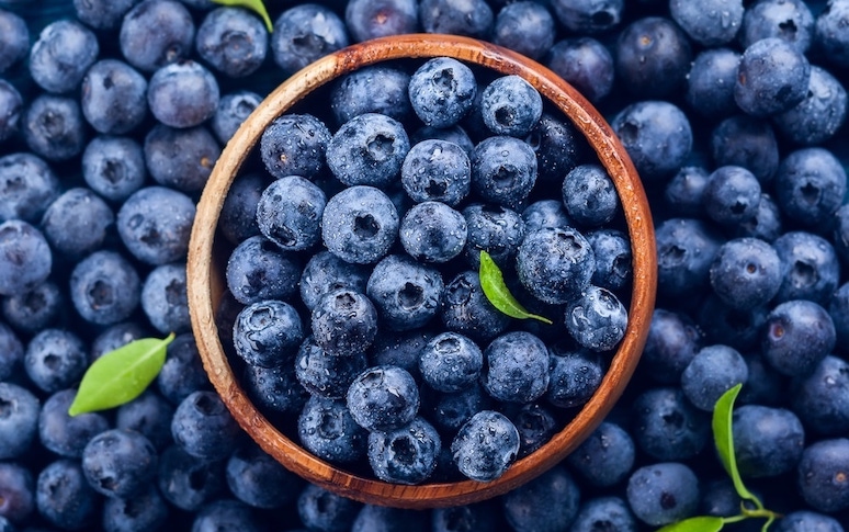 popular-foods-that-support-your-mental-health-7.jpg