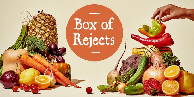 save-40-percent-of-grocery-expense-with-misfits-1.jpg