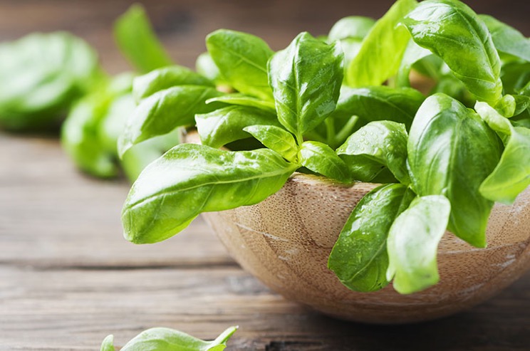 seriously-refrigerating-these-12-foods-will-do-harm-to-your-health-14.jpeg