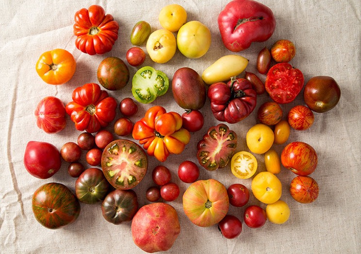 seriously-refrigerating-these-12-foods-will-do-harm-to-your-health-4.jpeg