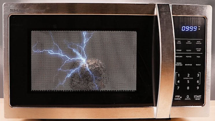things-should-not-go-into-microwaves-2.jpg