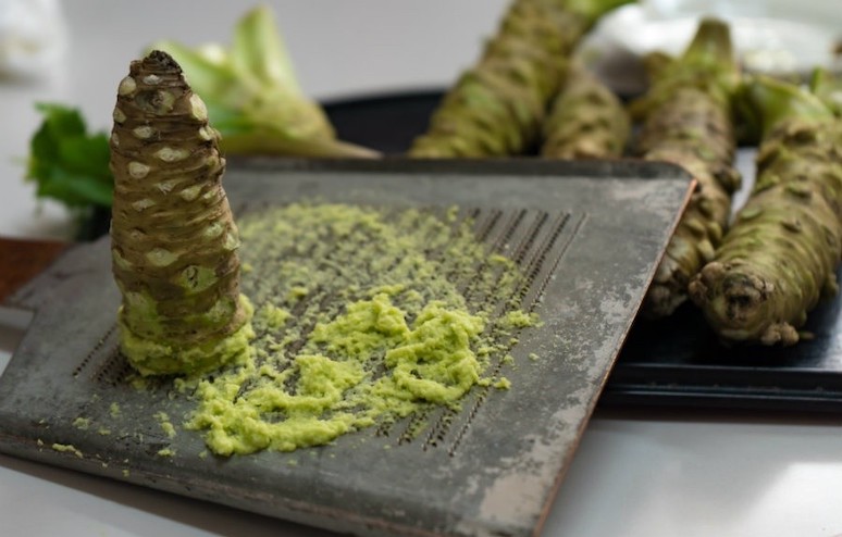wasabi-the-doomed-condiment-with-a-distinct-kick-3.jpg