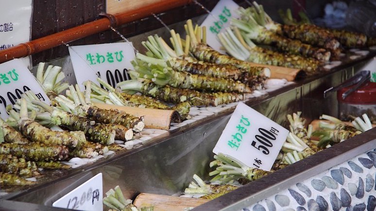 wasabi-the-doomed-condiment-with-a-distinct-kick-4.jpg