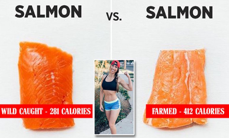 watch-out-farm-raised-salmon-is-ruining-your-health-3.jpg