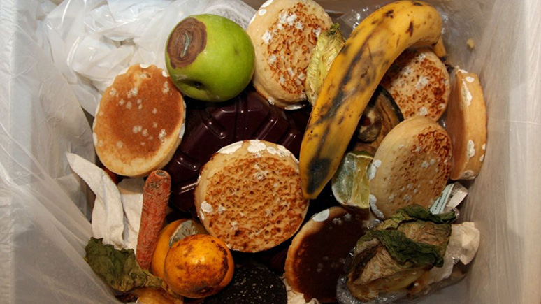 what-happens-if-you-accidentally-eat-moldy-food-1.jpg