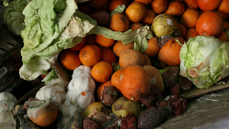 what-happens-if-you-accidentally-eat-moldy-food-3.jpg