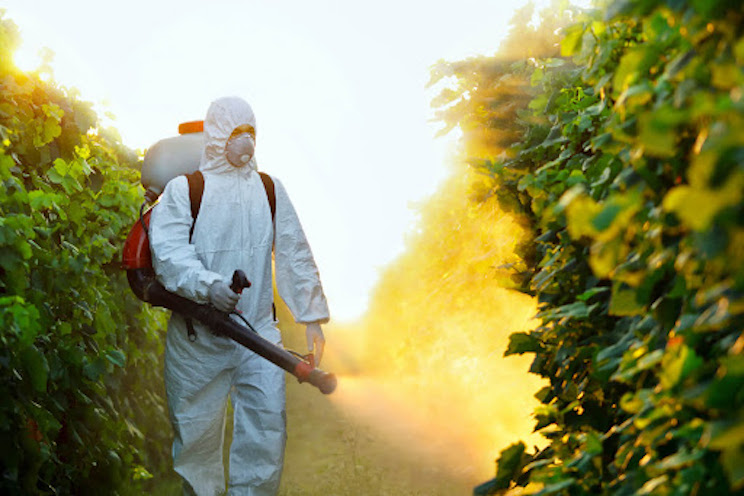 why-you-should-wash-your-vegetables-and-fruits-1.jpg