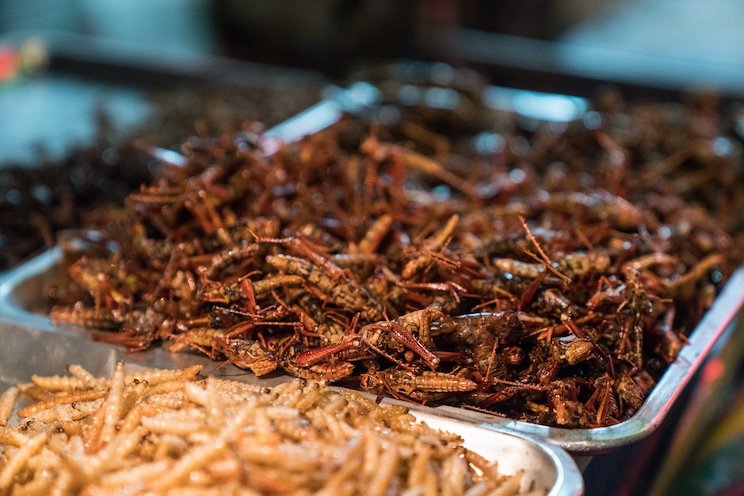 you-re-eating-bugs-without-knowing-it-2.jpg