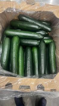 Baloian Farms of Arizona Co., Recalls Whole Fresh American Cucumbers Because of Possible Health Risks Due to Salmonella